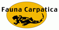 Logo Fauna Carpatica